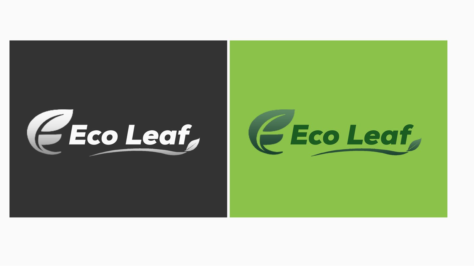 Eco Leaf logo on colour
