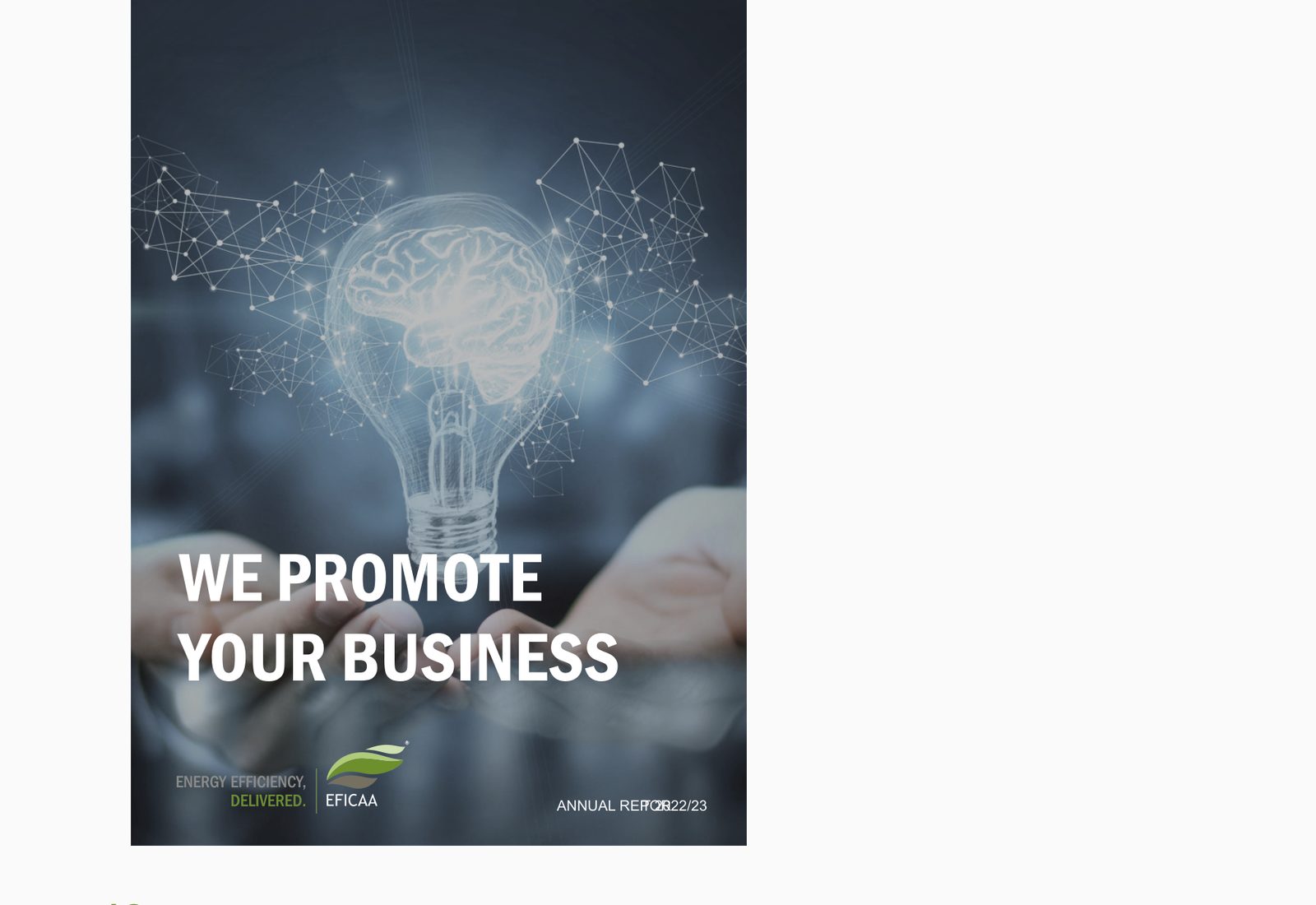 Eficaa Annual report cover