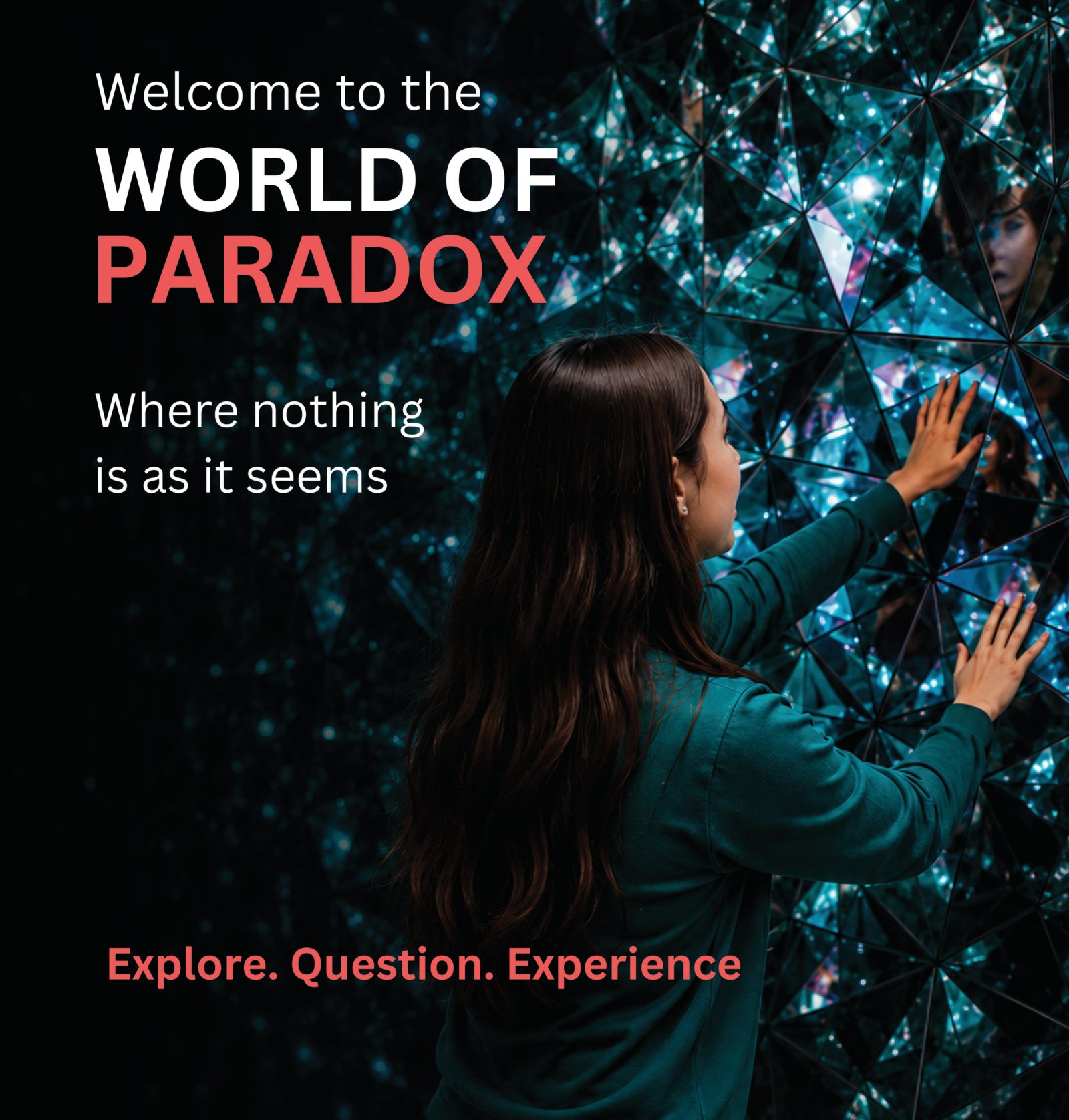 Paradox Museum brand guidelines cover