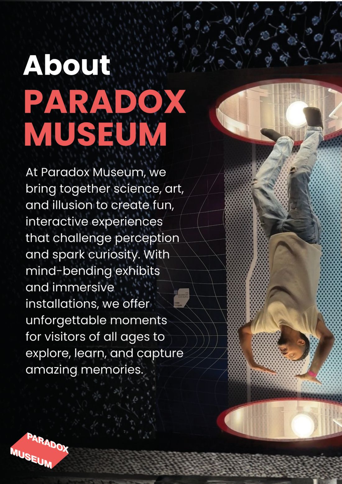 Paradox Museum About the museum